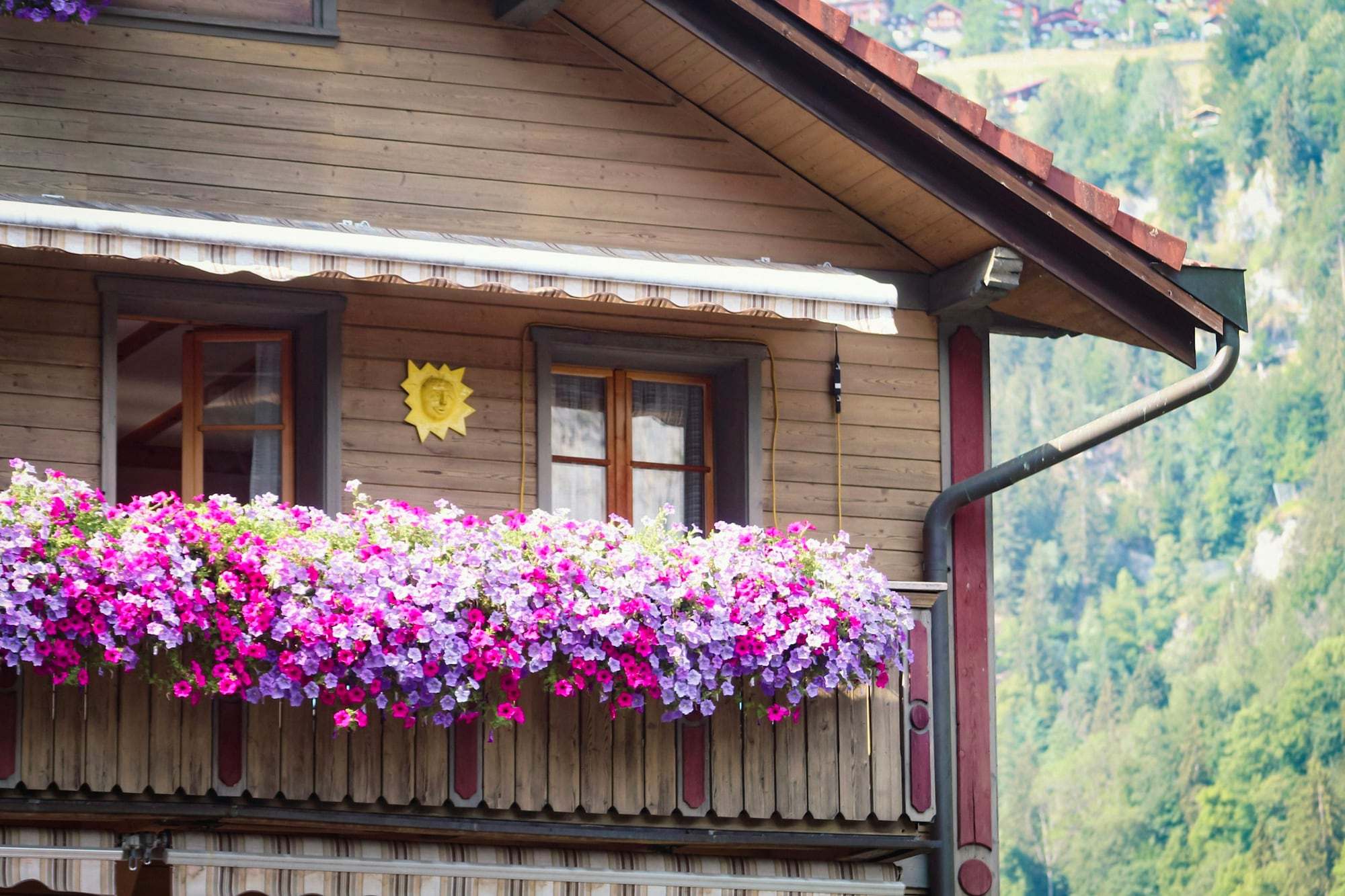 Holzbalkon mit Blumen